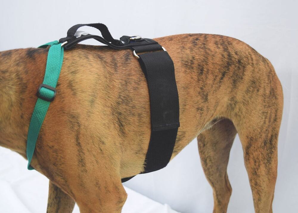 Brilliant K-9 Lift Harness Front Size medium 30-50 lbs. New!